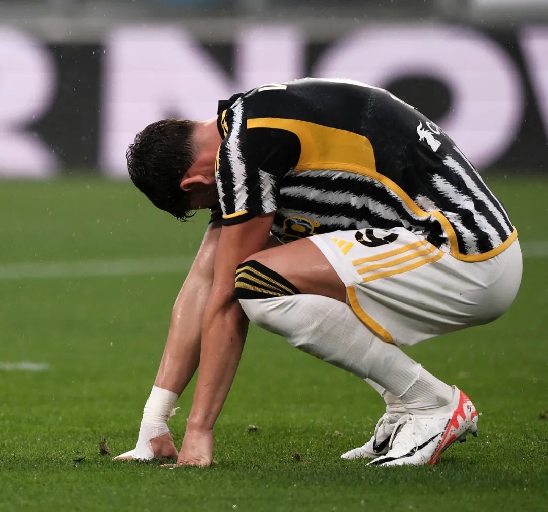 成为了本届 成为了本届